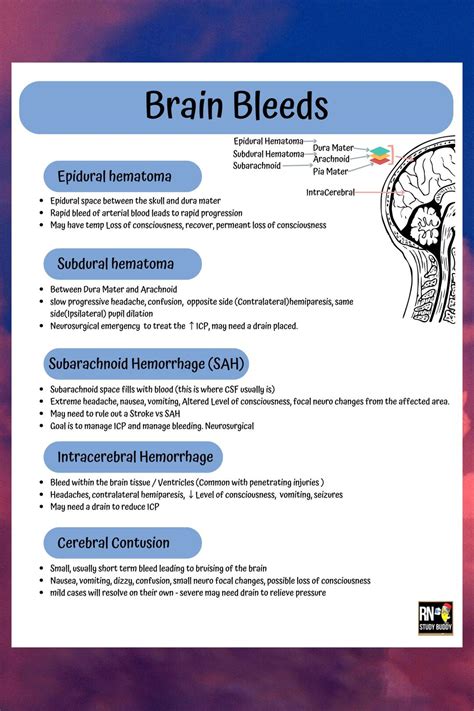 Understanding Brain Hemorrhage: Essential Information to Know