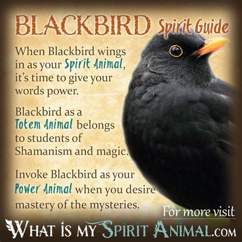 Understanding Dream Symbolism: Bird and Dog Symbolism