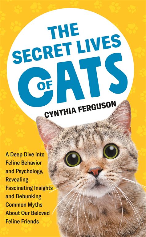 Understanding Fear and Anxiety: A Deeper Look into Feline Behavior 