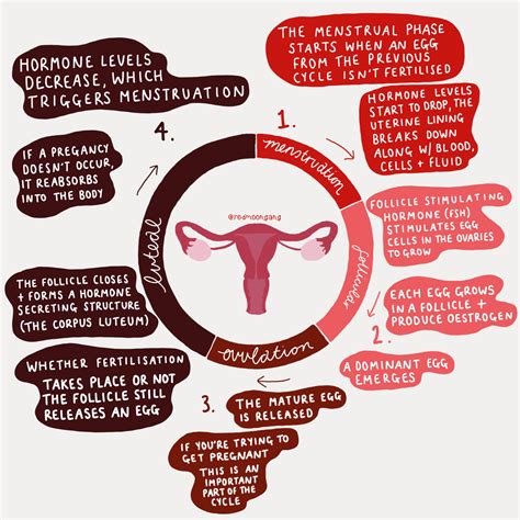 Understanding Unusual Menstruation: Key Knowledge