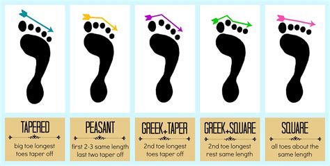 Understanding Your Feet: Essential for Finding the Ideal Fit