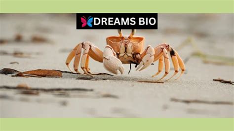 Understanding the Impact of Personal Experiences on Dreaming About Crabs