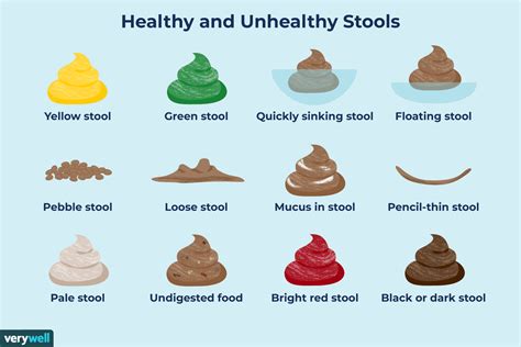 Understanding the Nature of Stool Color