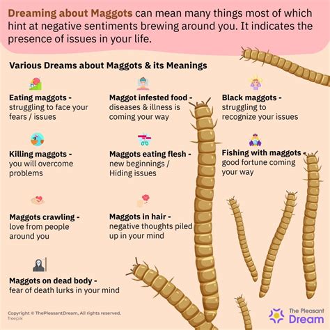 Understanding the Origins of Dreaming about Maggots in Lower Limbs