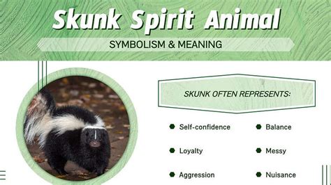 Understanding the Significance: Cracking the Code of the Skunk in Your Dream