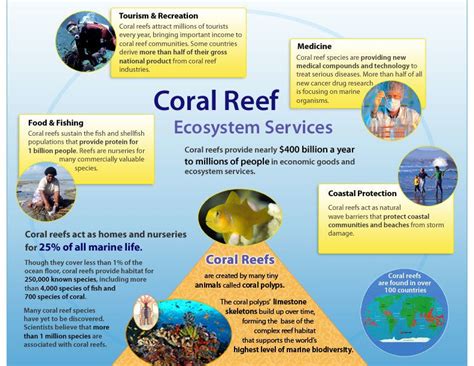 Understanding the Significance of Aquatic Ecosystems