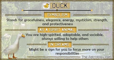 Understanding the Significance of Duck and Birth Symbols