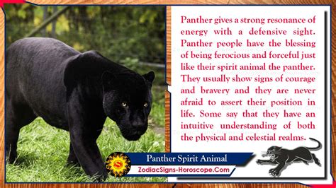 Understanding the Symbolic Meaning Behind an Enigmatic Panther Vision: A Step-by-Step Guide