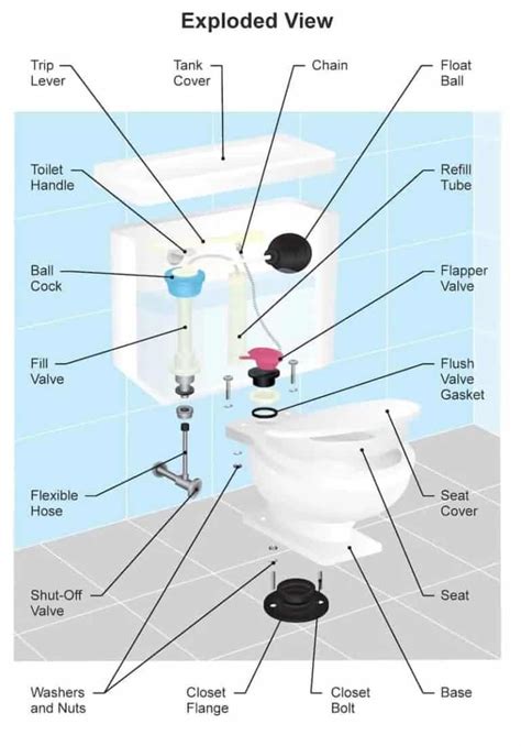 Understanding the Vital Components: Structure of a Toilet