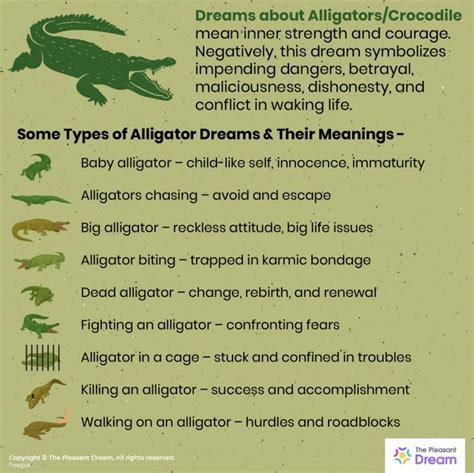 Unleashing the Potential of Alligator Reveries