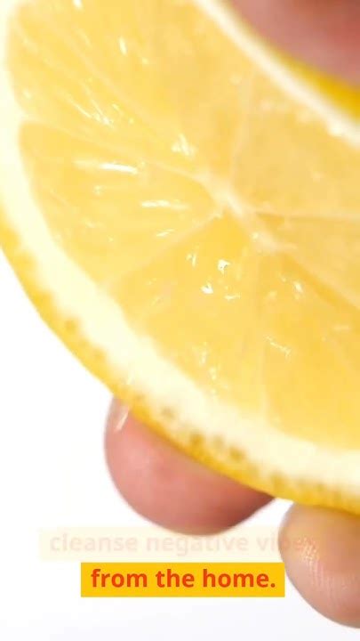 Unlocking the Cryptic Messages of Lemon Reveries