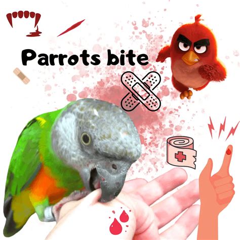 Unlocking the Cryptic Messages within Pugnacious Parrot Bites