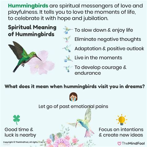 Unlocking the Deeper Meanings: Deciphering the Spiritual Messages Conveyed by Hummingbirds in Your Dreams