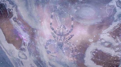 Unlocking the Hidden Message: Interpretation of Spider Dream Symbolism