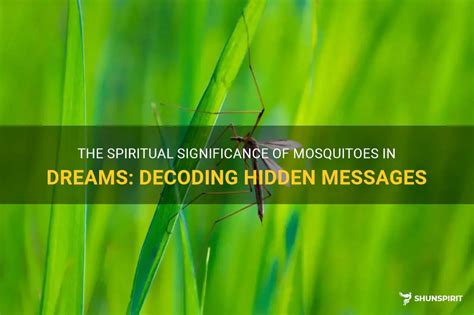 Unlocking the Hidden Messages: Deciphering the Symbolic Meaning of Encountering Mosquitoes in Dreams