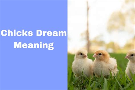 Unlocking the Hidden Significance of Saving Small Chicks in Dreams