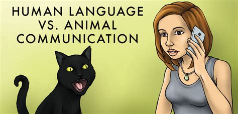 Unlocking the Potential of Animal Communicators: Building a Bridge Between Human and Animal Worlds