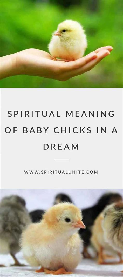 Unlocking the Spiritual Significance of Embracing a Hatchling in One's Dreams