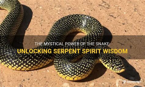 Unlocking the Spiritual Significance of Repeated Serpent Envenomations in Somnial Encounters