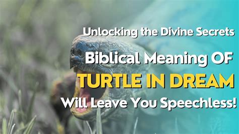 Unlocking the Symbolism of Devouring a Turtle in the Realm of Dreams