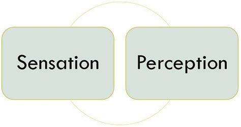 Unraveling the Connection Between Dream-Related Lack of Sensation and Physical Perception