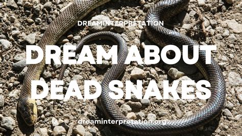 Unraveling the Deeper Significance of Snake Dreams