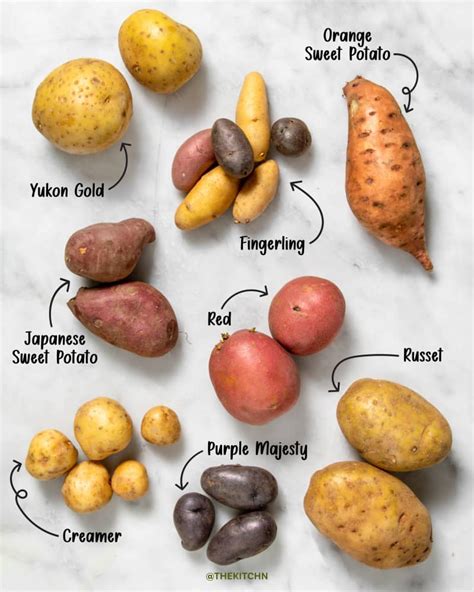 Unraveling the Enigmatic Realm of Rare and Exquisite Potato Varieties