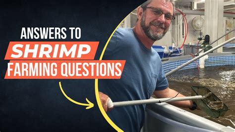 Unraveling the Mysteries: Frequently Asked Questions about Shrimp Peeling