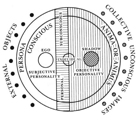 Unraveling the Panther's Connection to Jungian Psychology