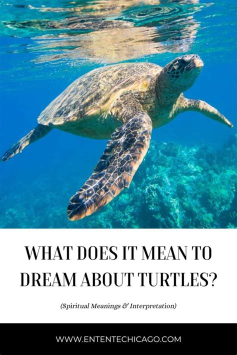 Unraveling the Psychological Significance of Consuming a Living Turtle in Dreams