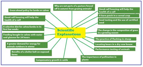 Unraveling the Scientific Explanation