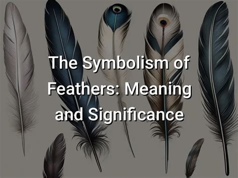 Unraveling the Significance of Plumage in Dream Symbolism