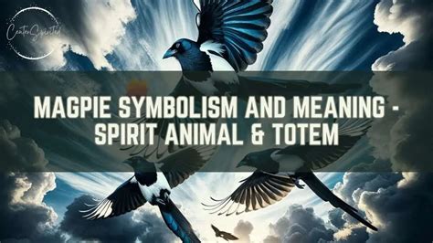 Unraveling the Symbolism: Unveiling the Significance of Magpie Aggression in Dreams