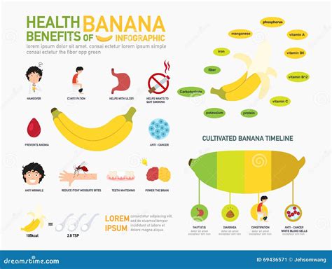 Unripe Bananas and Their Beneficial Effects on Gut Health