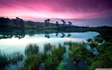 Unveil the Mysterious Elegance of Lavender Waterscapes