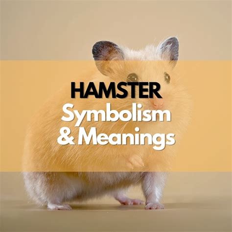 Unveiling the Cultural and Historical Symbolism of Hamsters