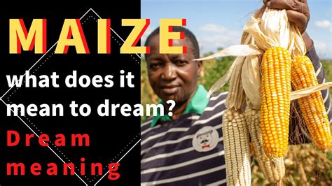 Unveiling the Emotional Importance of Dreaming About Maize Seeds