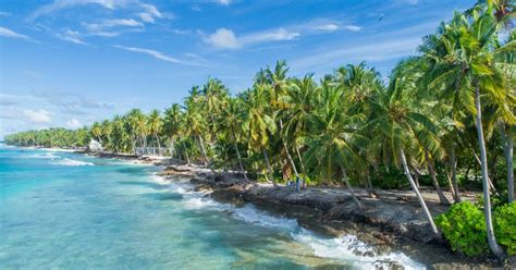 Unveiling the Enigma of Coconut Cultivation