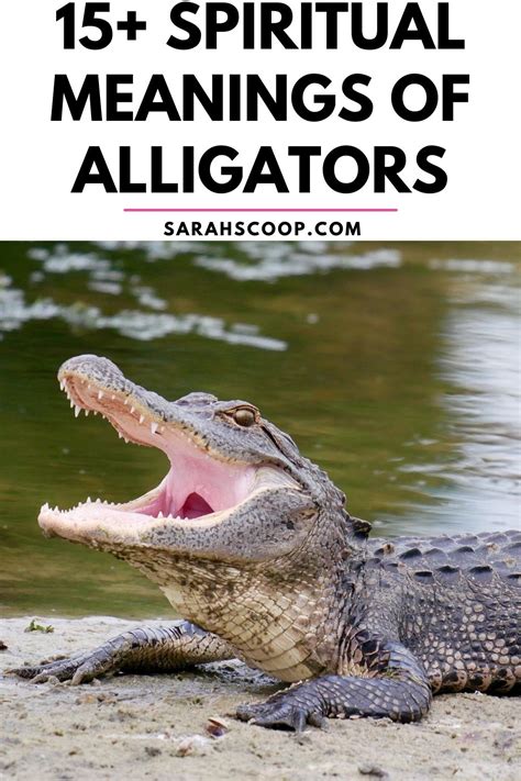 Unveiling the Enigmatic Significance behind Alligator Fantasies