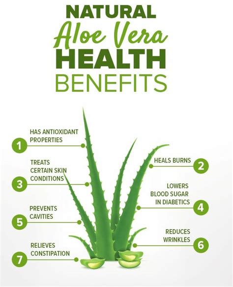 Unveiling the Health Benefits of Aloe Vera