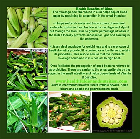 Unveiling the Health Benefits of Fresh Okra