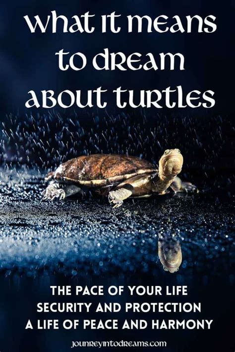 Unveiling the Hidden Messages Behind Dreaming of Wounded Turtles