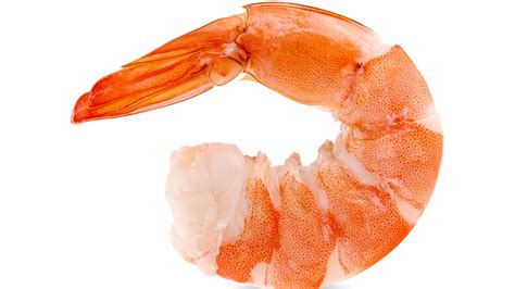 Unveiling the Hidden Treasures: Discovering the Different Varieties of Shrimp