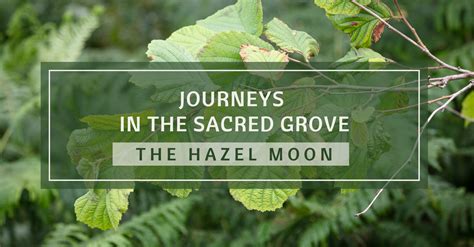 Unveiling the Real Hazel Moon: Behind the Scenes Perspective