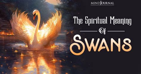 Unveiling the Spiritual and Enigmatic Significance of the Swan