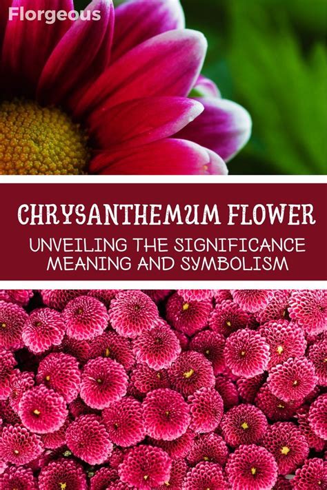 Unveiling the Symbolic Meaning Behind Diverse Blooms