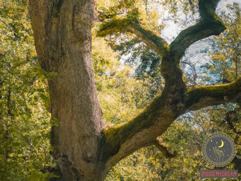 Unveiling the Symbolic Meaning of Trees in Dreams