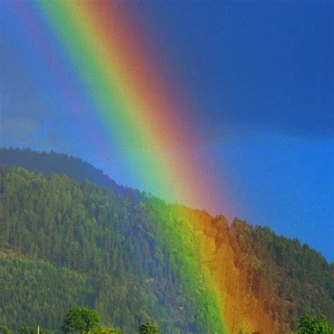 Unveiling the Wonders of Rainbows: Unraveling the Phenomenon of Spectral Colors