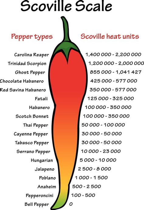 Vertical Measurement of Pepper