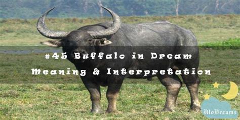 Water Buffaloes as Archetypal Symbols in Dream Analysis